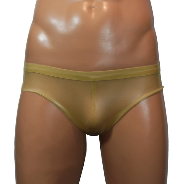 Translucent briefs